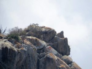 Pedra do Rinocerante