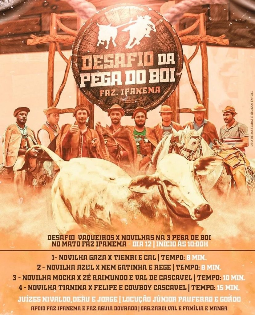 Desafio da PEga do Boi da Fazenda Ipanema