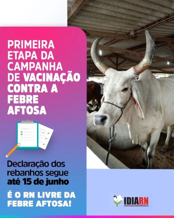 Campanha de Vacinação contra Febre Aftosa 2023