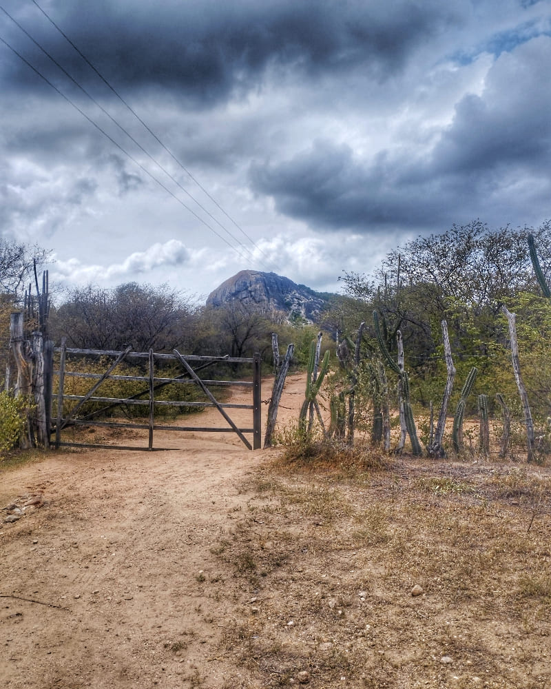 A Caatinga e a Pecuária na Fazenda Boqueirão