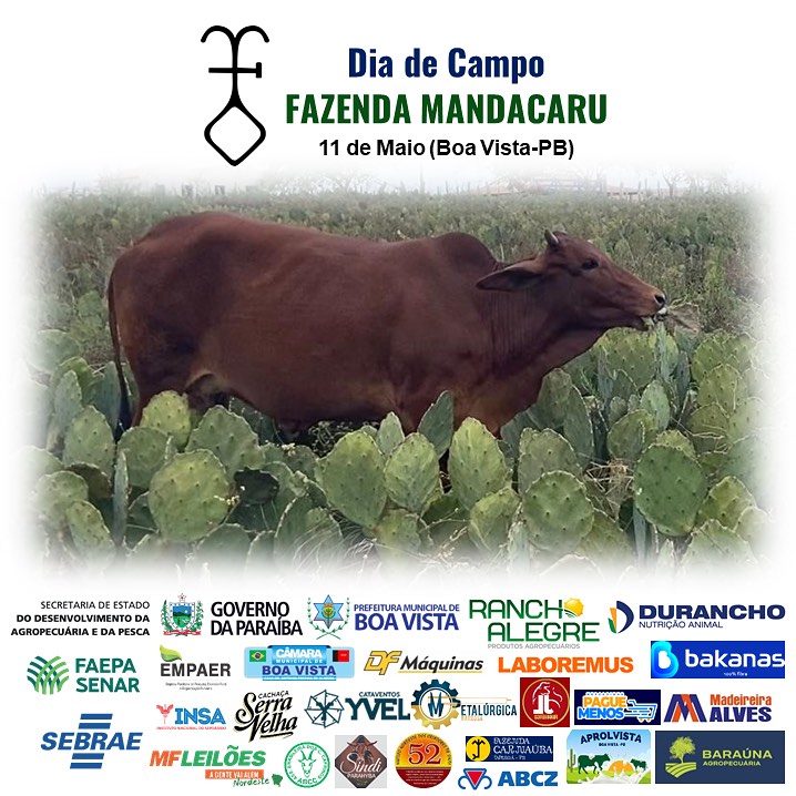 Dia de Campo da Fazenda Mandacaru 2024