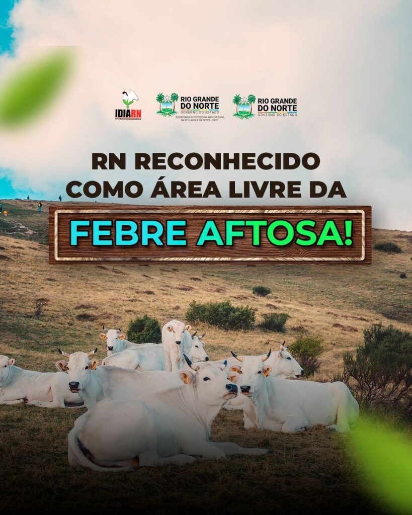 RN reconhecido com área livre da Febre Aftosa