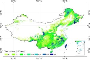 Cientistas chineses usam drones para contar as árvores