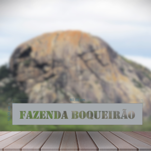 Stencil vazado personalizado